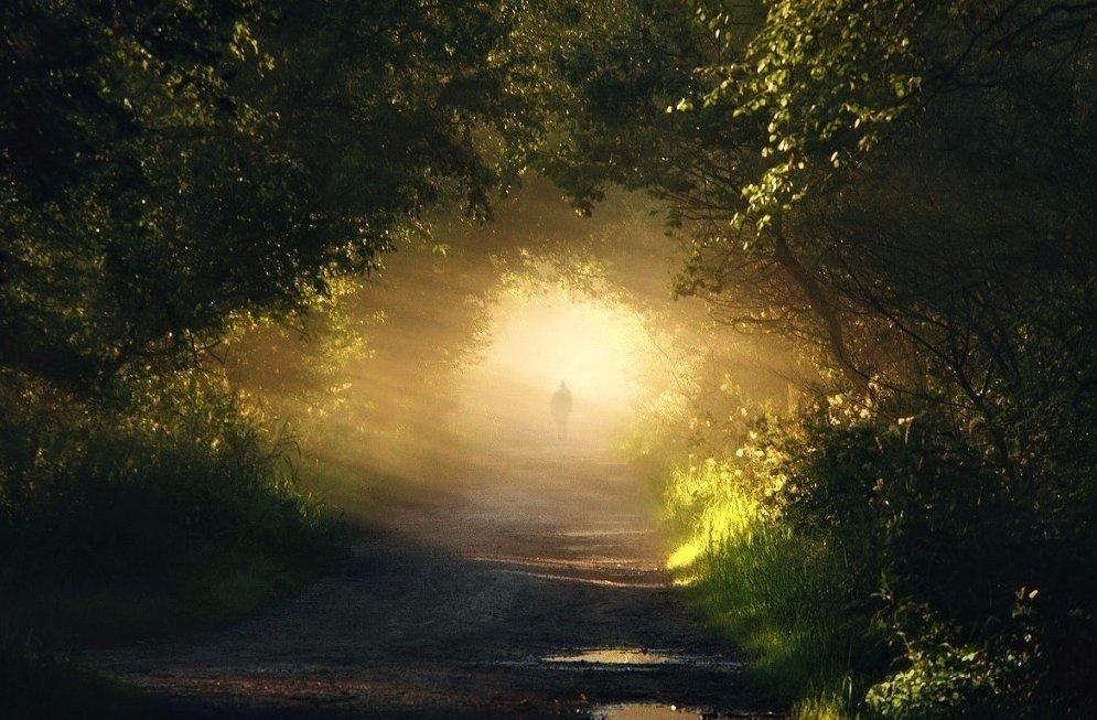 Утро туманное