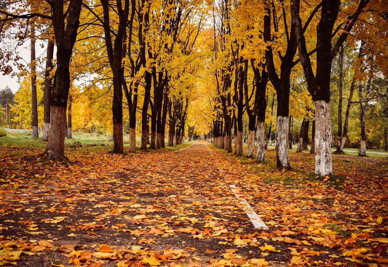 "Умчались - к счастью поезда..." (13.11.2020)