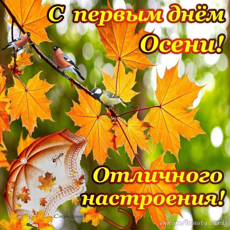 С первым днем осени картинки с надписями женщине, картинки смешные открытки