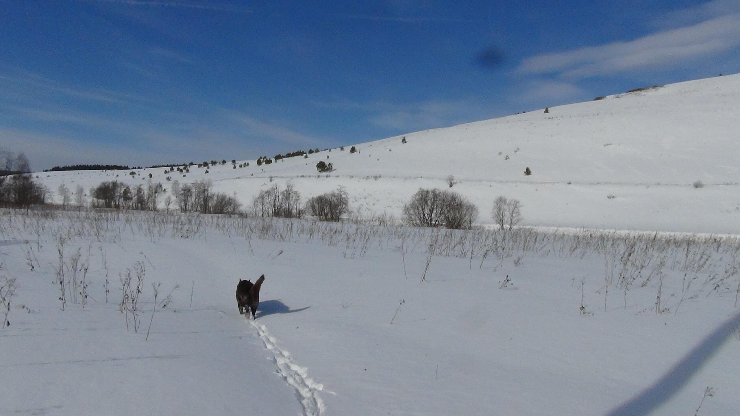 На встречу весне