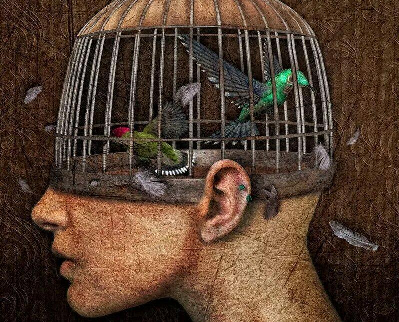 Падальщик идёт