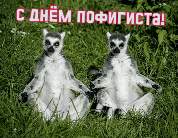 ГИМН ПОФИГИСТОВ!