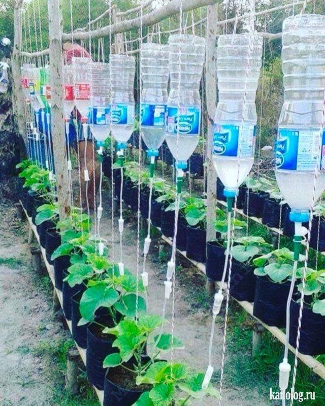 ПАРНИКОВЫЕ ПРОЦЕДУРЫ