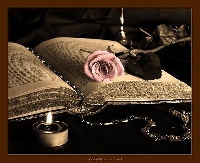 В книге потери. ЯС