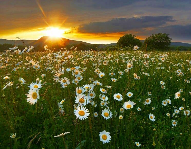 Ты по мне не спеши горевать...