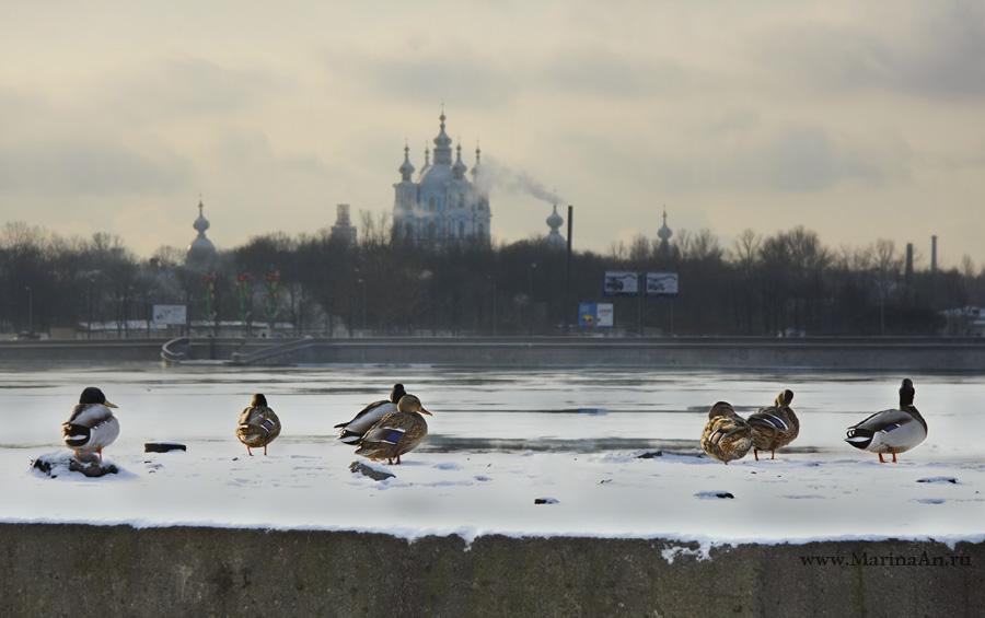 Петербургская погодка