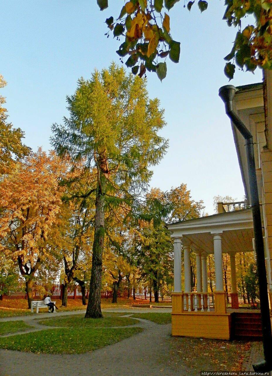 Увидеть Пушкинскую осень