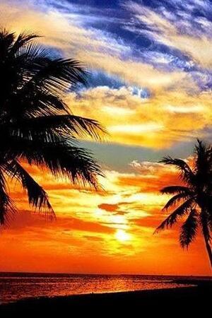 Вспять реки текли, но цари не дружили