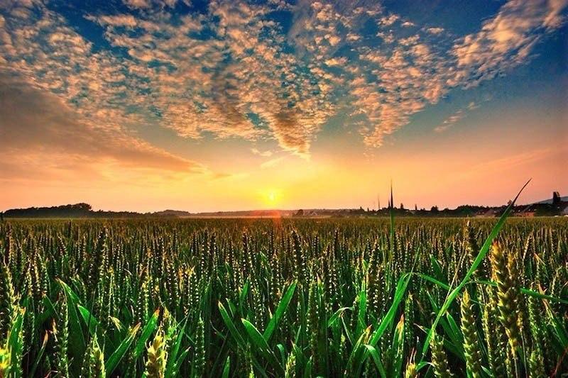 Вот и август