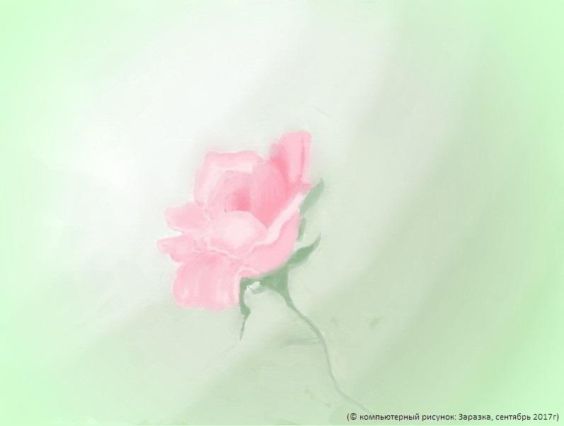 Роза в тумане сна.