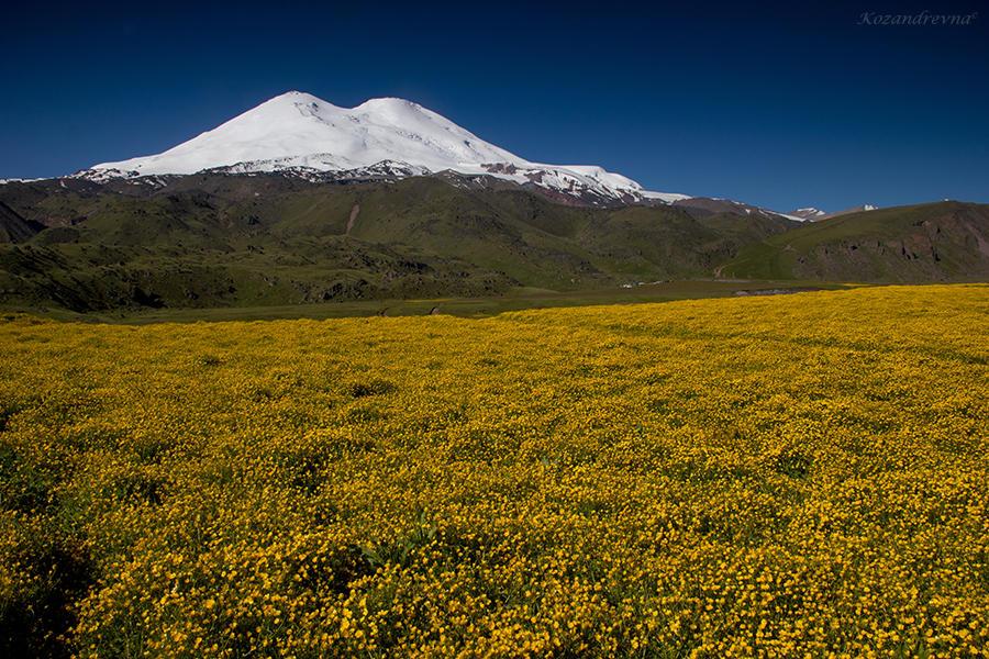 Мой Северный Кавказ.
