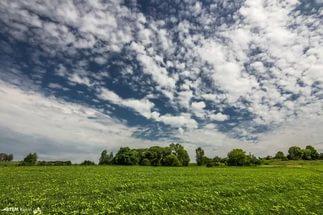 Звонкий май по дороге уходит