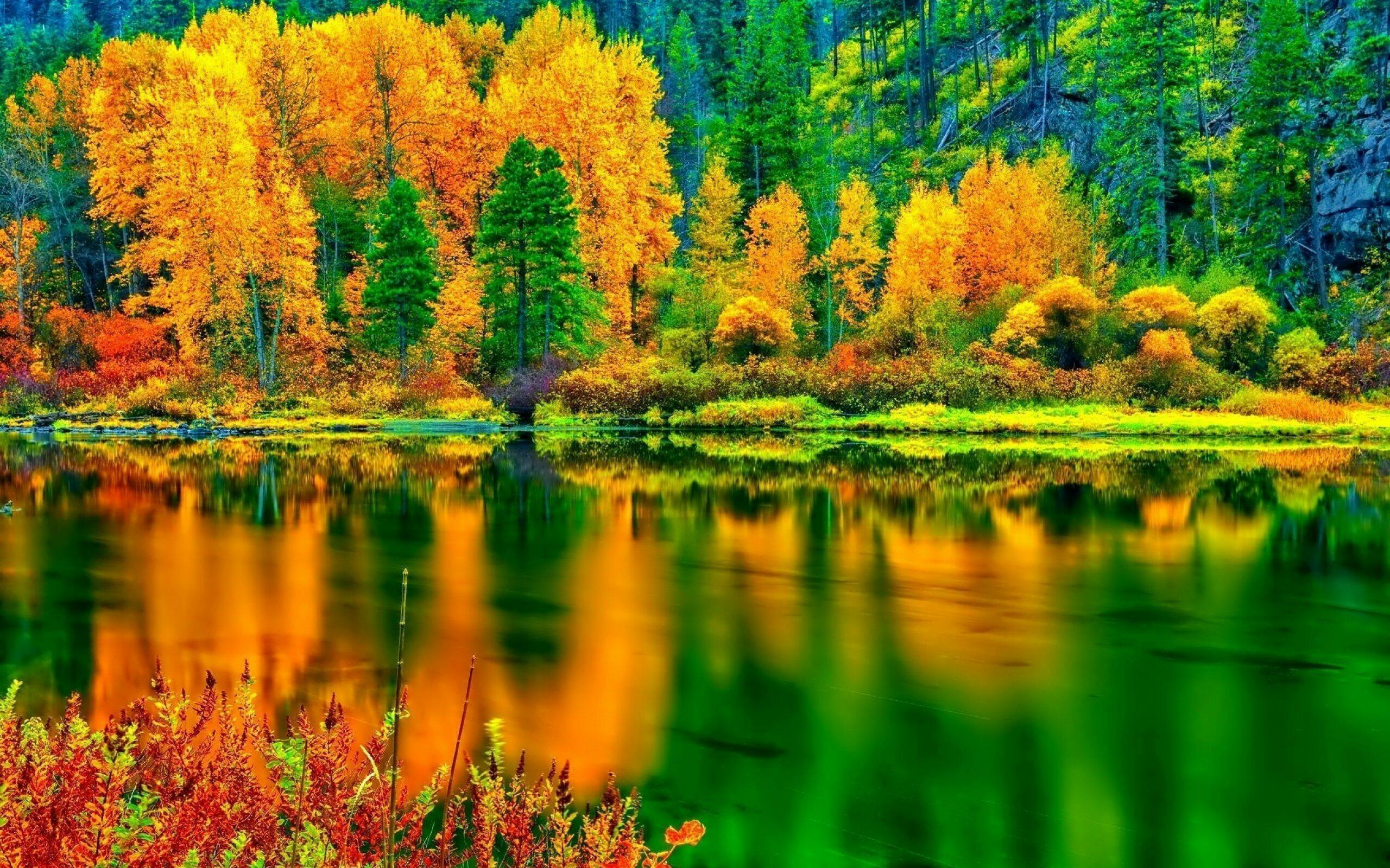 ❤️  ВРЕМЯ  ТОРОПИТ  КО  СНУ