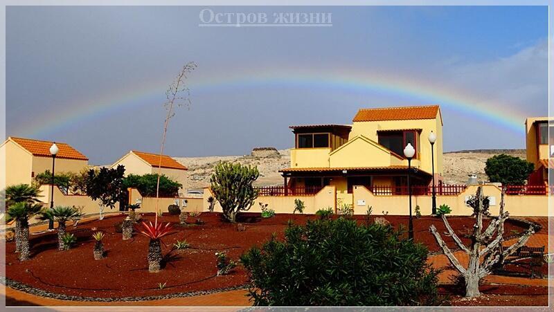 В прекрасный Старый Новый Год. Остров жизни