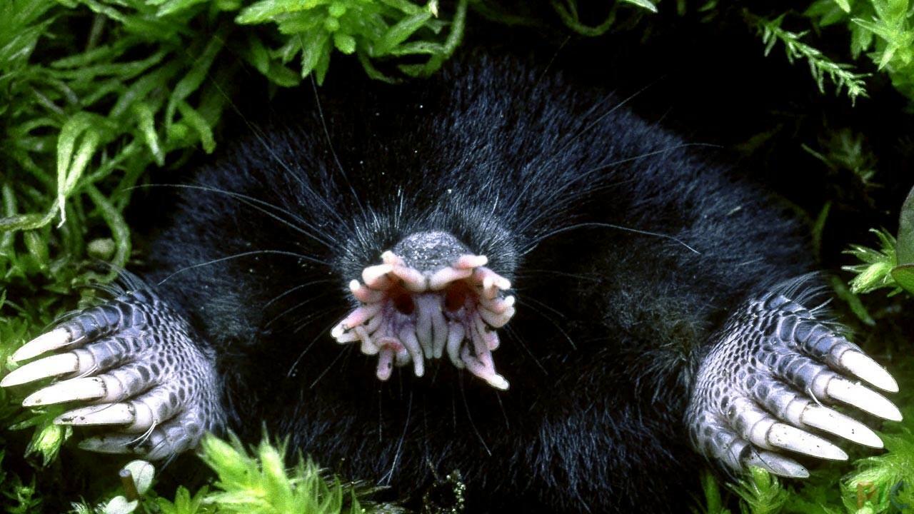 Не спотыкайся...