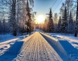 январская элегия