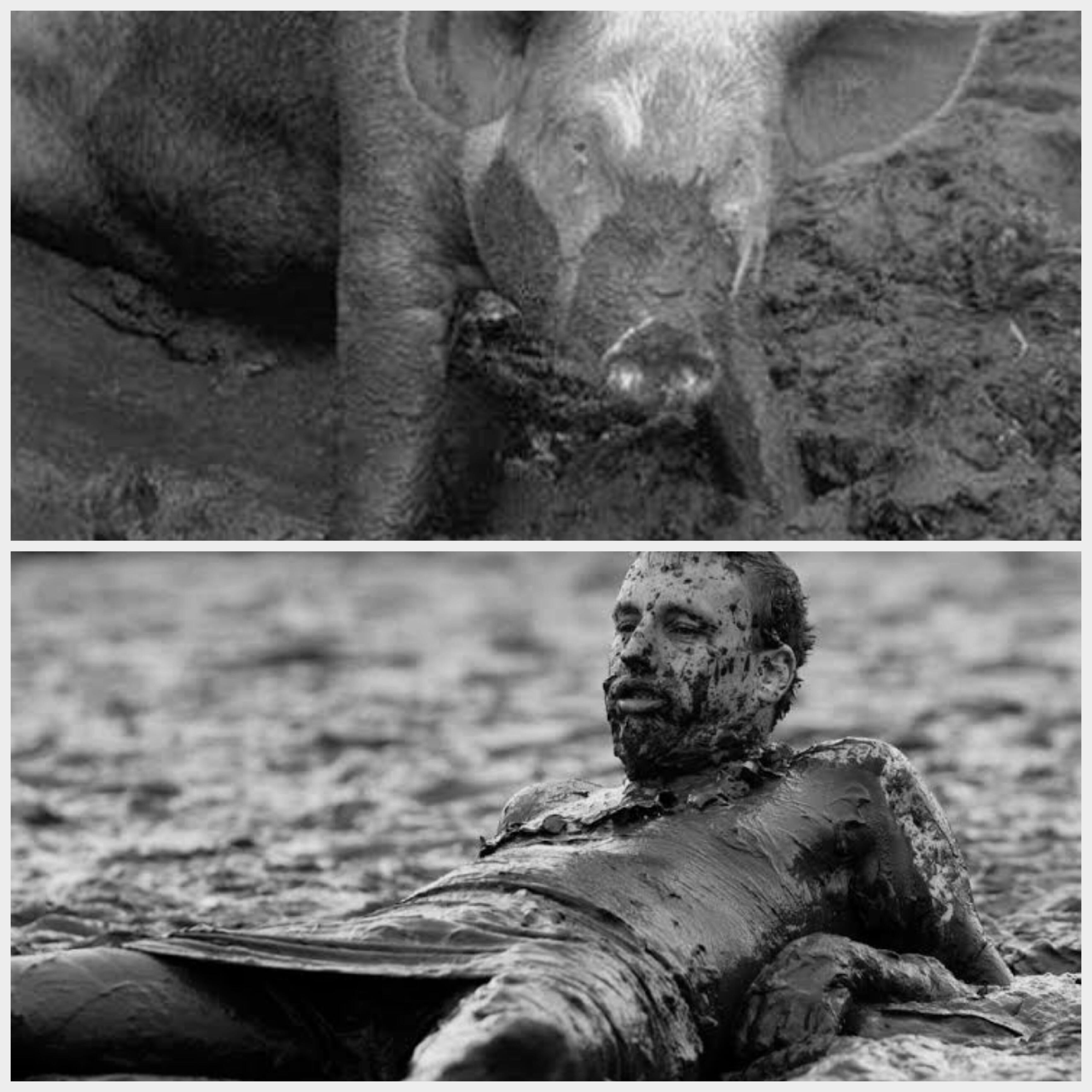 Ухоженность – это прекрасно