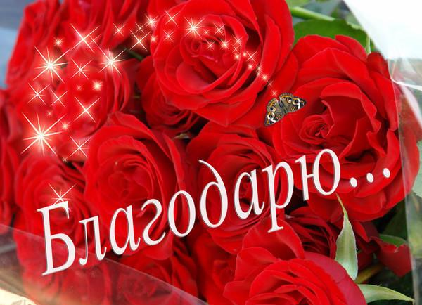 БЛАГОДАРНОСТЬ