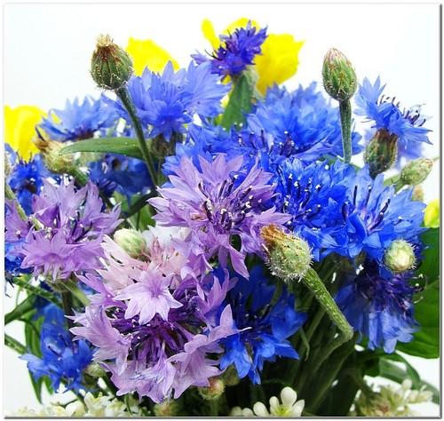 Супругиной подруге.