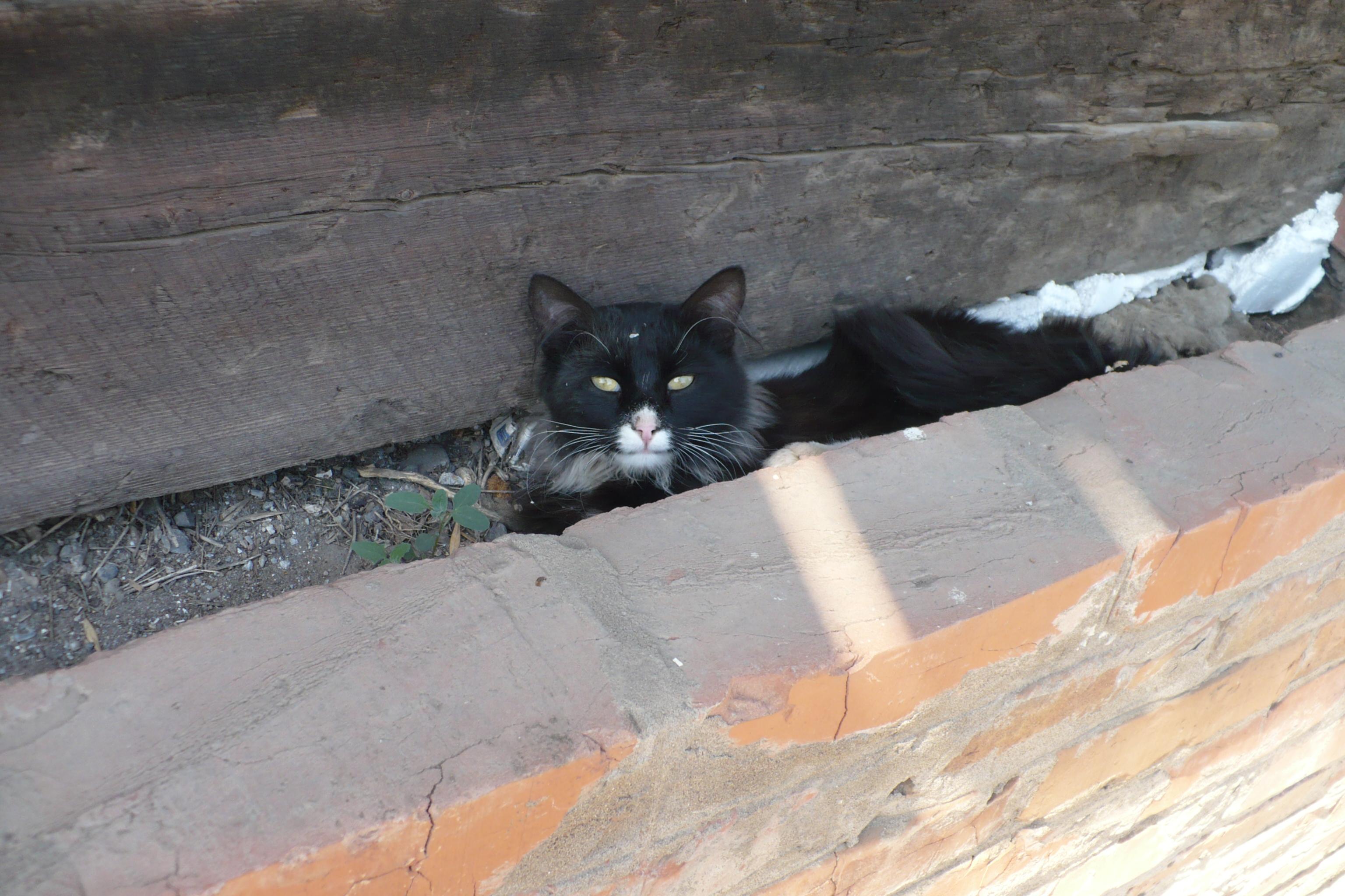 Некоторые фото