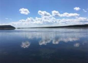 Читателям коротких стихов