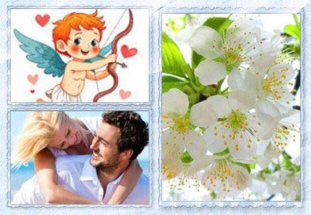  супружеский план.