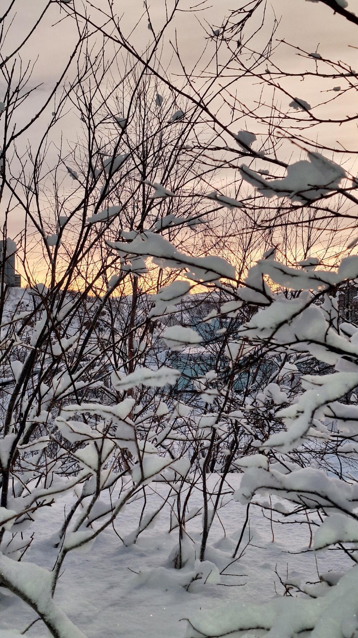 Середина января