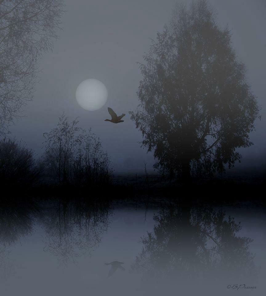 Луна туман песня. Луна в тумане. Полнолуние в тумане. Полнолуние на болоте. Ночь туман Луна.