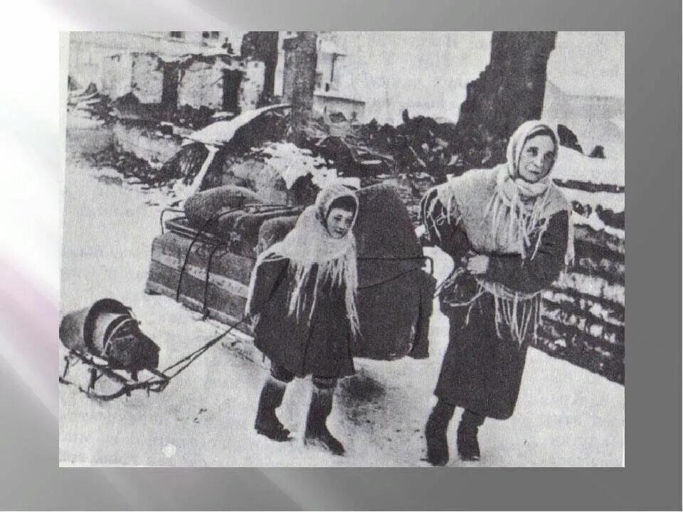 Суровые сугробы января