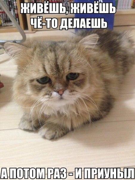 Примите  мои  извинения.