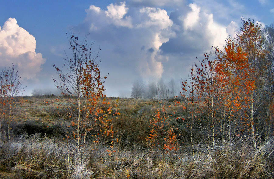 Тучи по небу, ветер с севера. На стихи "Сеть непогодная", автор Хельга