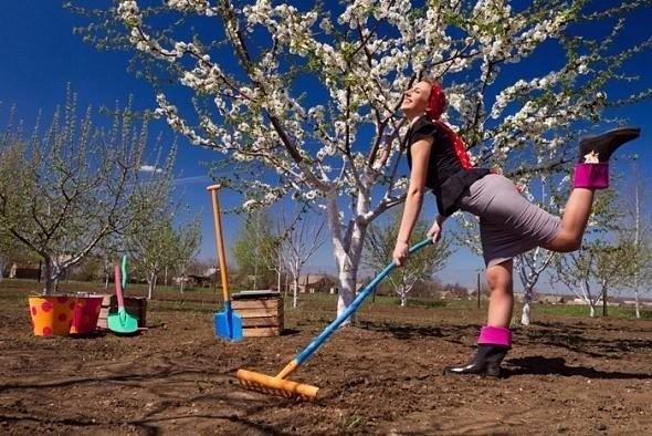 Мечта на этот год