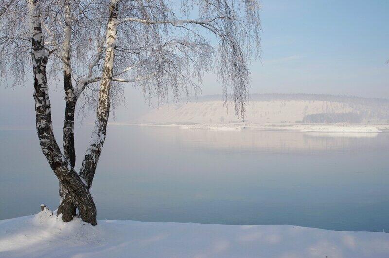 Берёзоньки