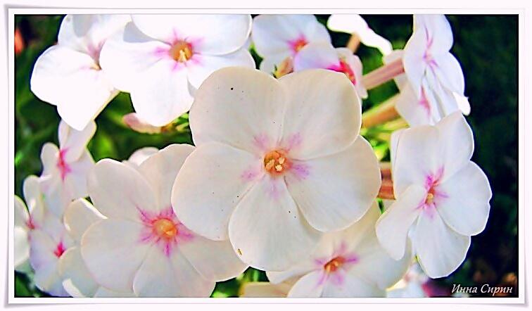 Нарушив сон. Выше забвения