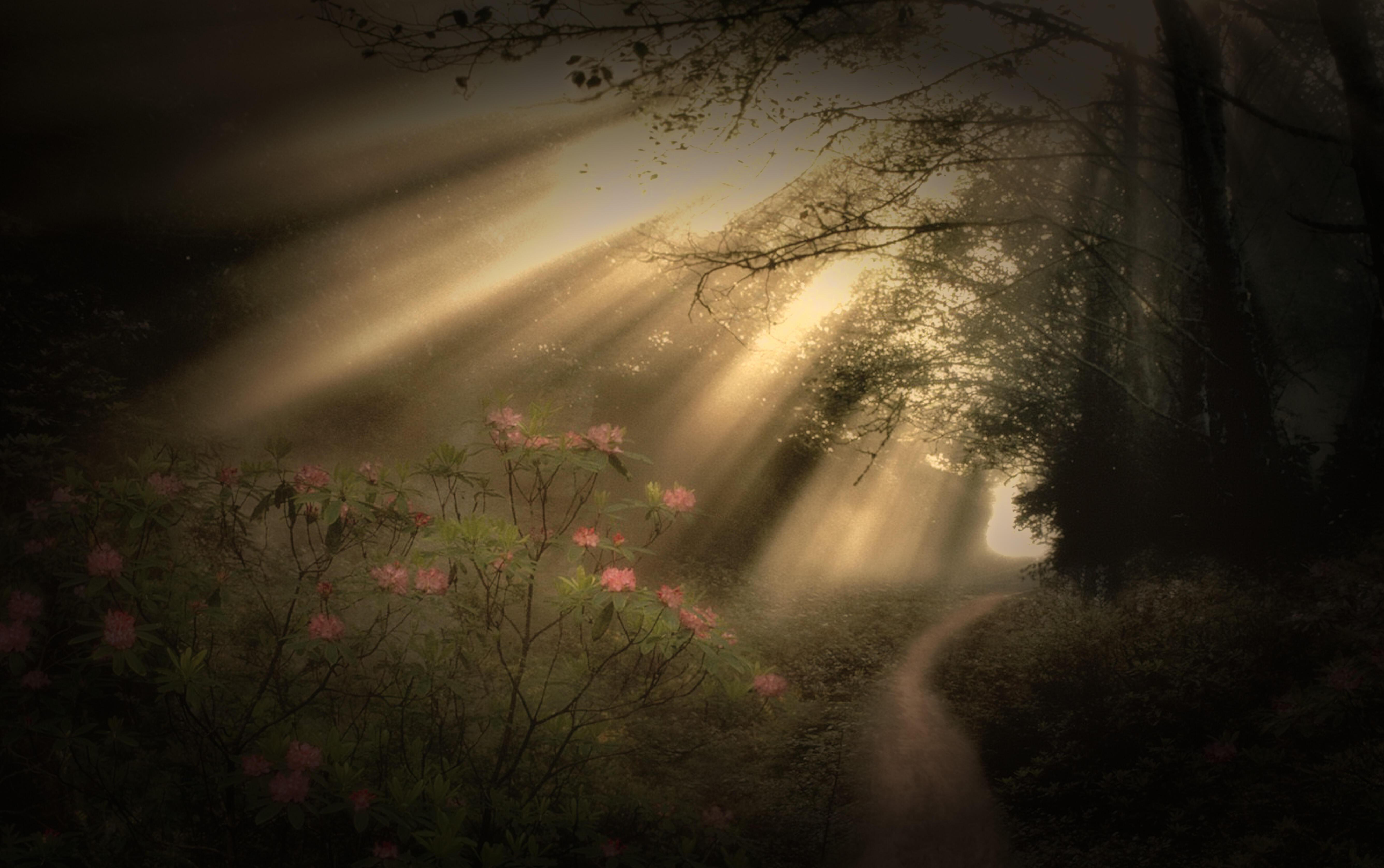 «Предрассветный полонез»