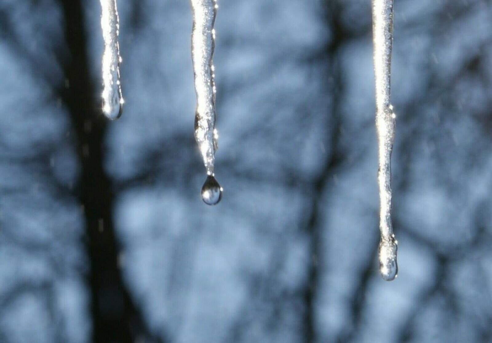 ВЕСЕННЯЯ КАПЕЛЬКА