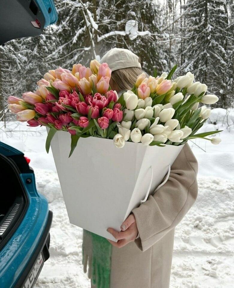 Растюльпанится весна