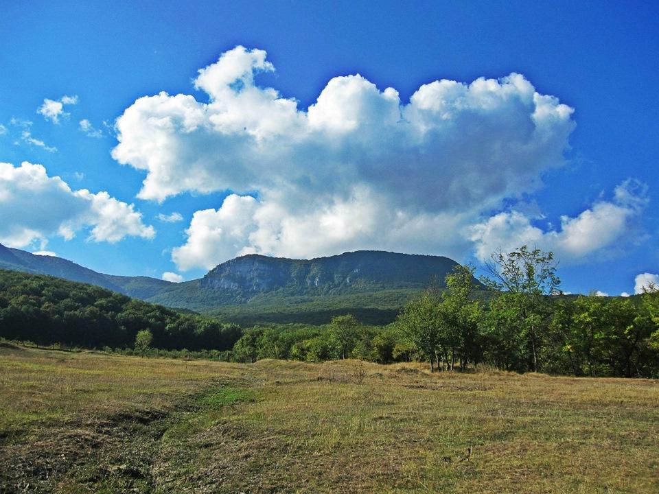 ВЕРНИТЕ МУЗЫКУ, ВЕРНИТЕ...