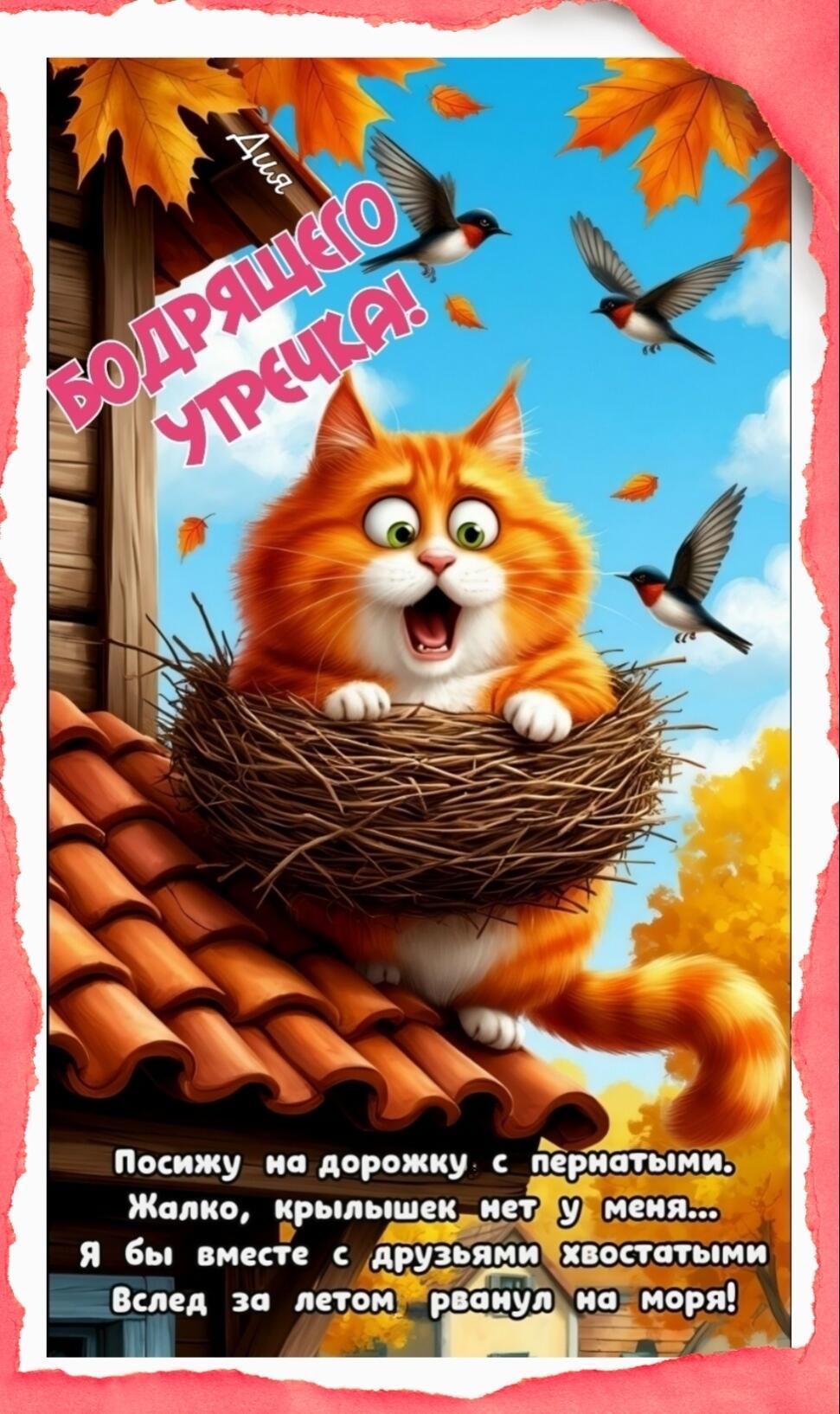 Осенние которазмышления - шуточные стихи