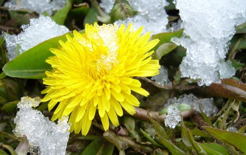 Изменения погоды