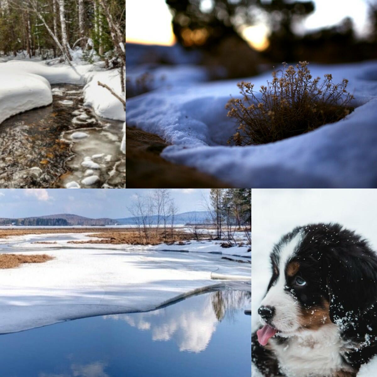 ---У всех на виду---