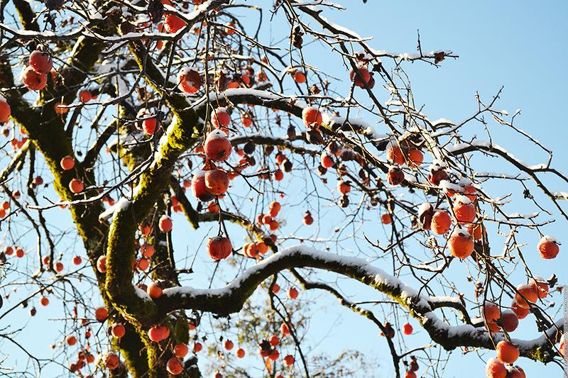 Он столько чувств в душе разворошил