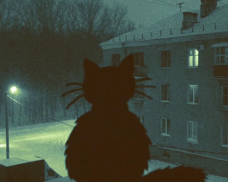 все уже круг друзей