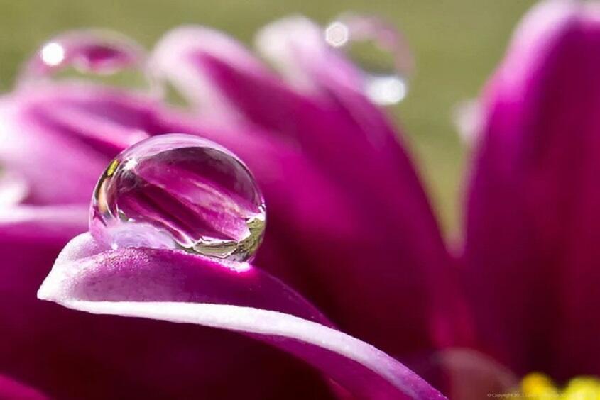 Имеет чувства каждая травинка