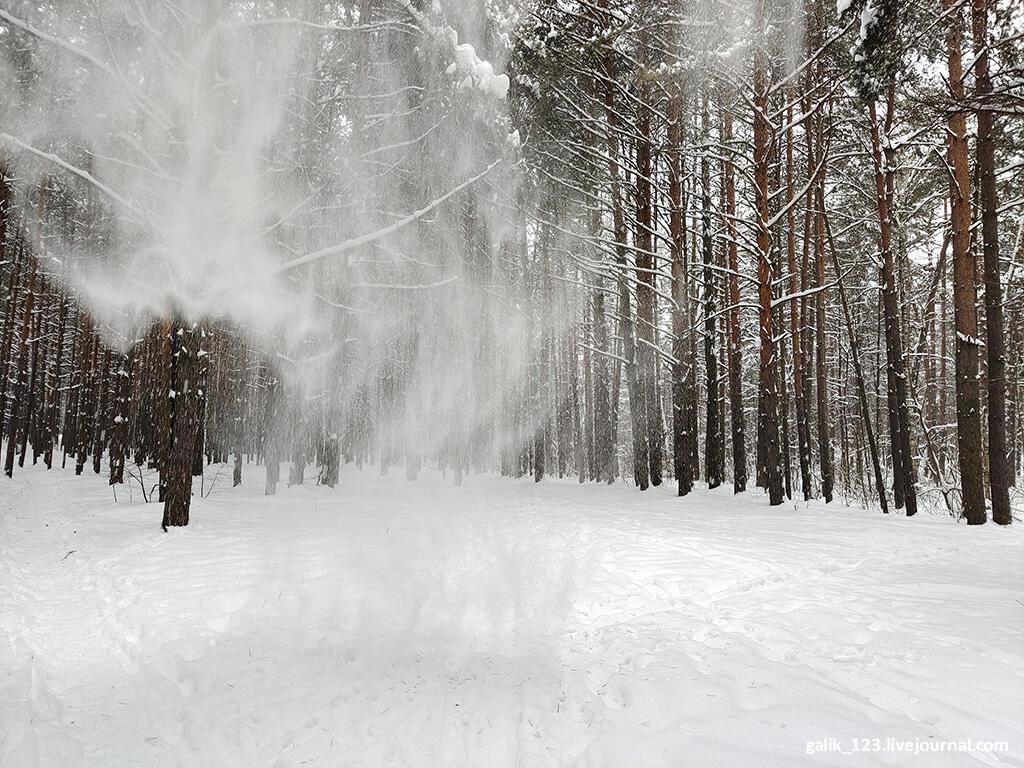 Ещё живу  своей любовью...