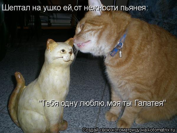 Ты моя Галатея.