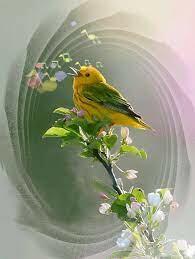 В ЛЮБОВЬ СТИХАМИ НЕ ИГРАЙ...