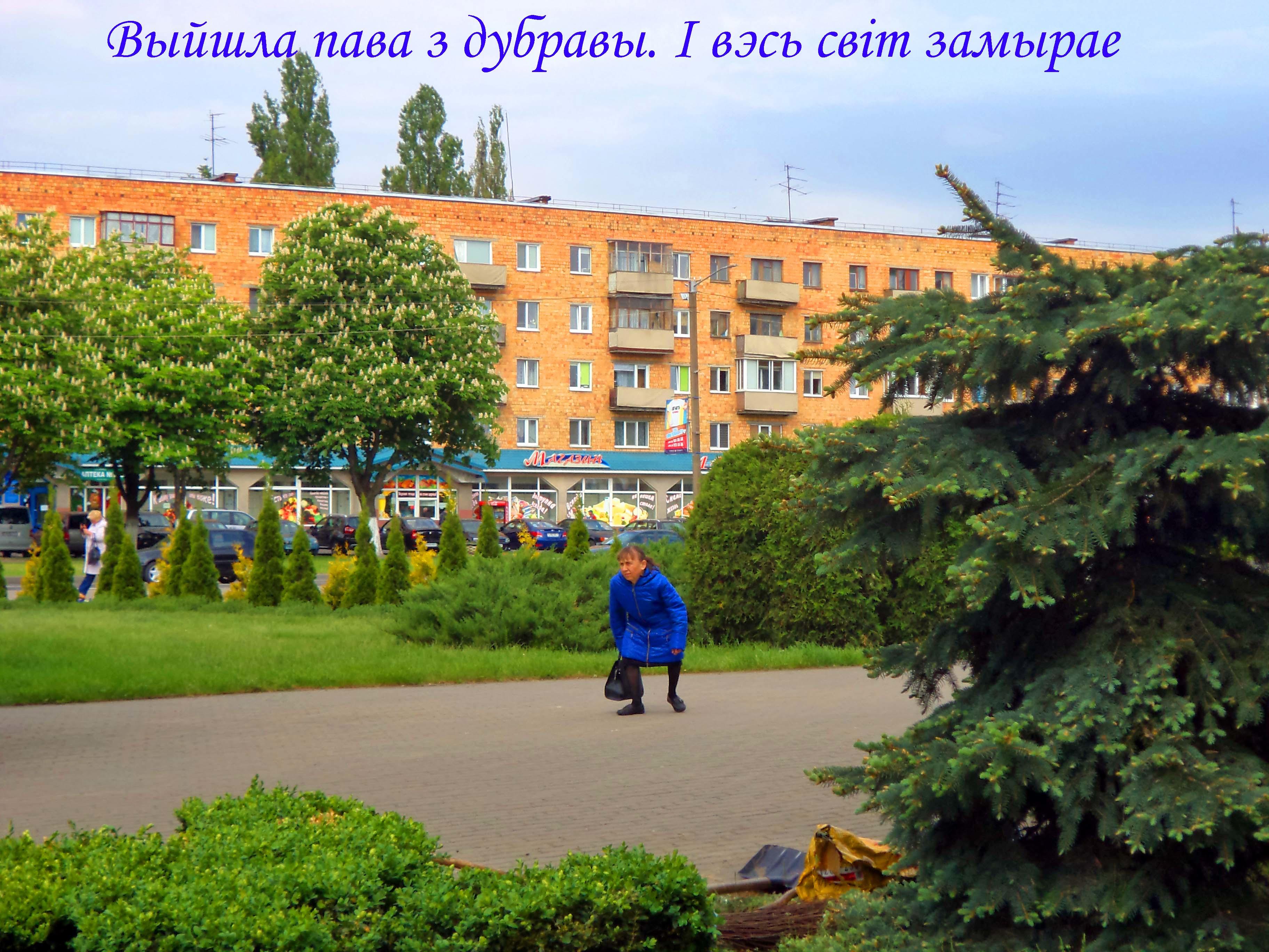 Шас мы все знаемо,