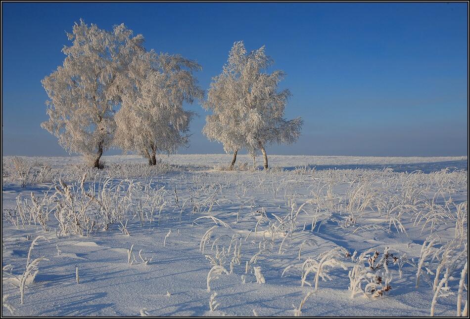 Белая зима (сонет)