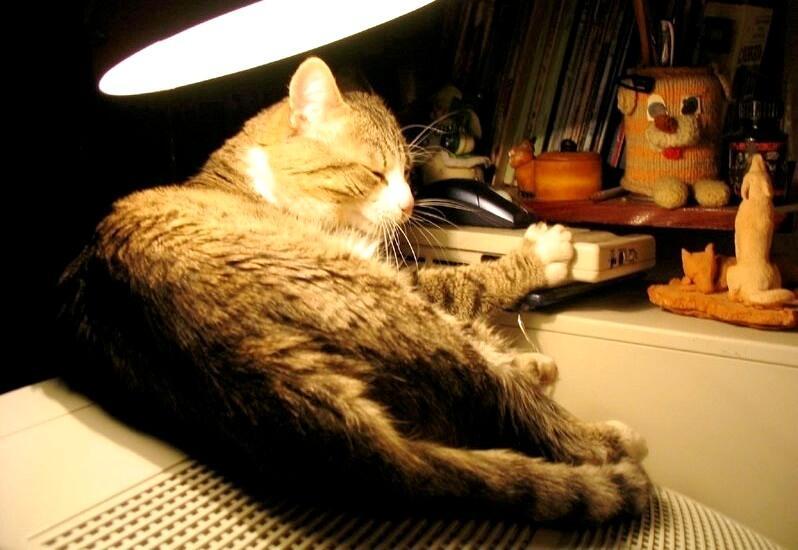 На газовой конфорке белый чайник...